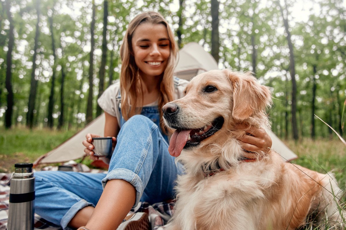 『大型犬が持っている魅力』5つ　温厚な犬種が多い？飼う前に心得ておくべき注意点まで