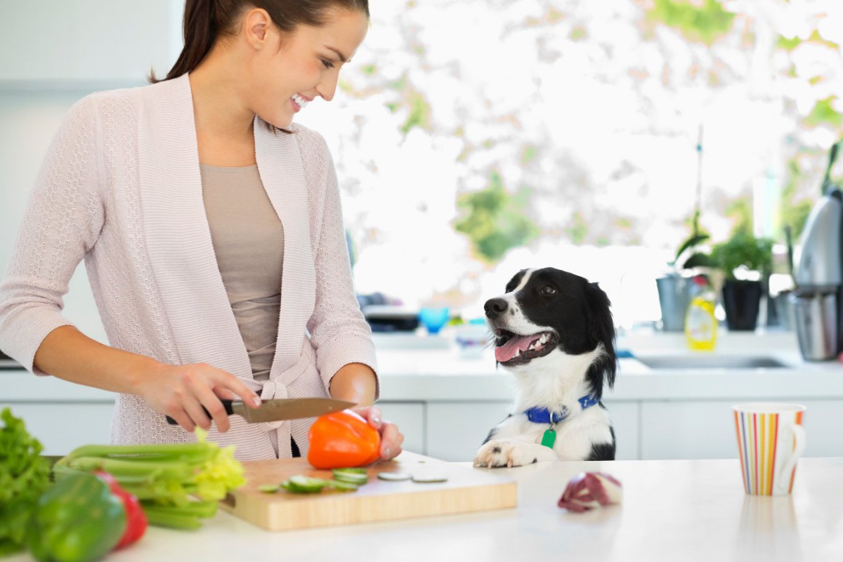 犬も安心して食べられる『春が旬の野菜』3選！やってはいけない与え方も紹介