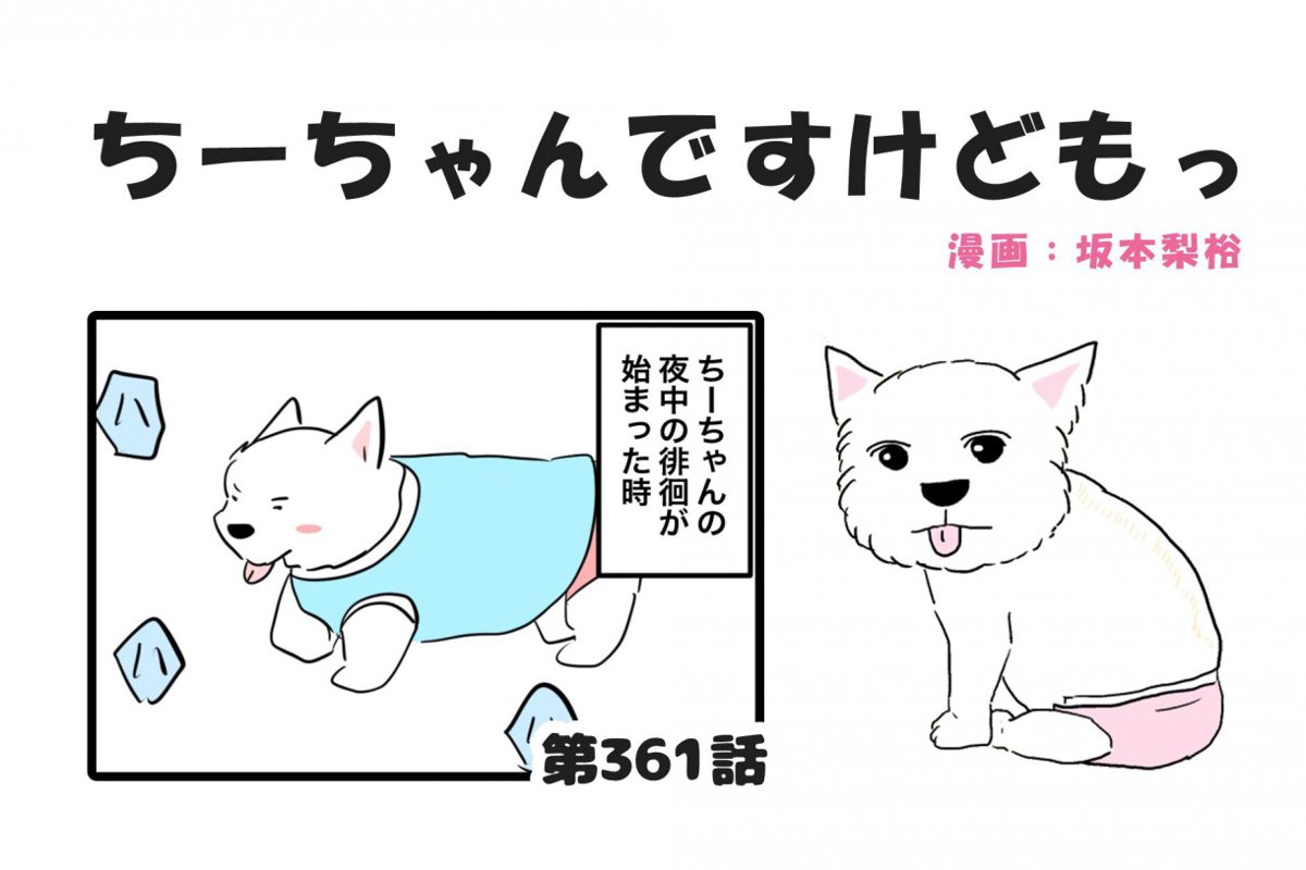 ちーちゃんですけどもっ【第361話】「元気すぎる徘徊」