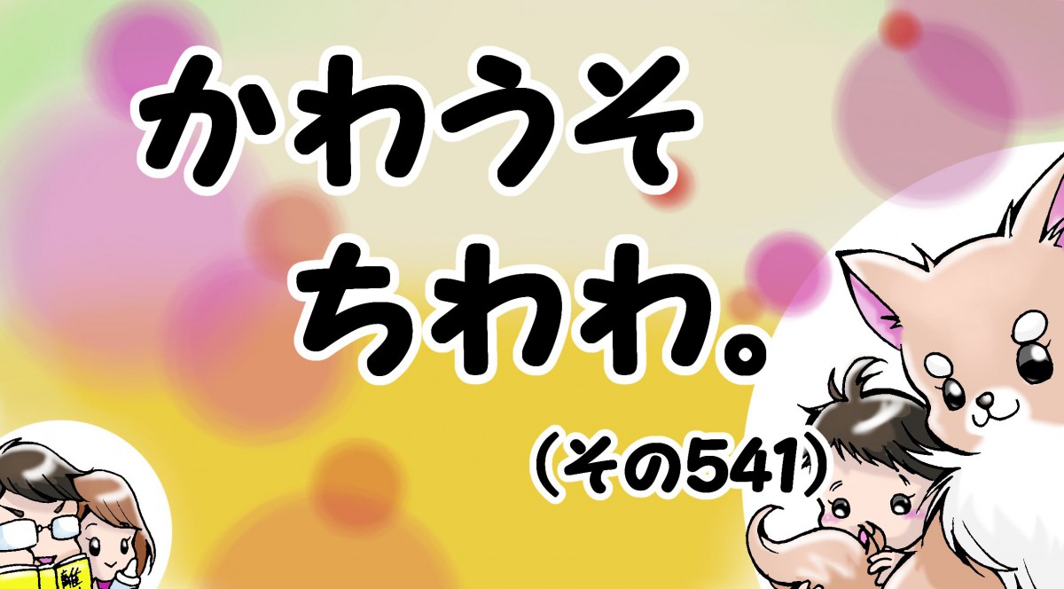 かわうそちわわ。【その541】「もちろん大人がやると怒られる」