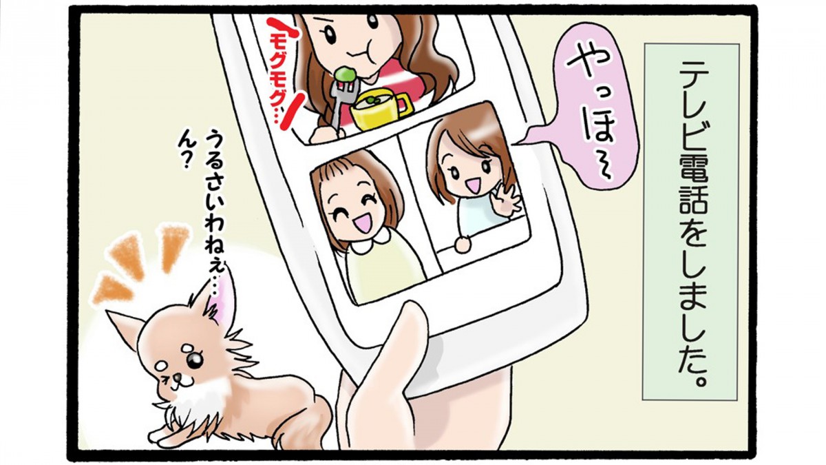 かわうそちわわ。（85） おかーちゃんの一人遊び