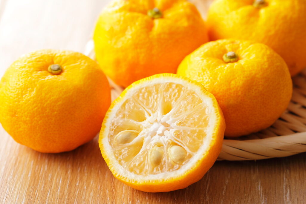 【獣医師監修】犬がゆず（柚子）を食べるのはNG！その理由や引き起こされる症状から対処法まで徹底解説