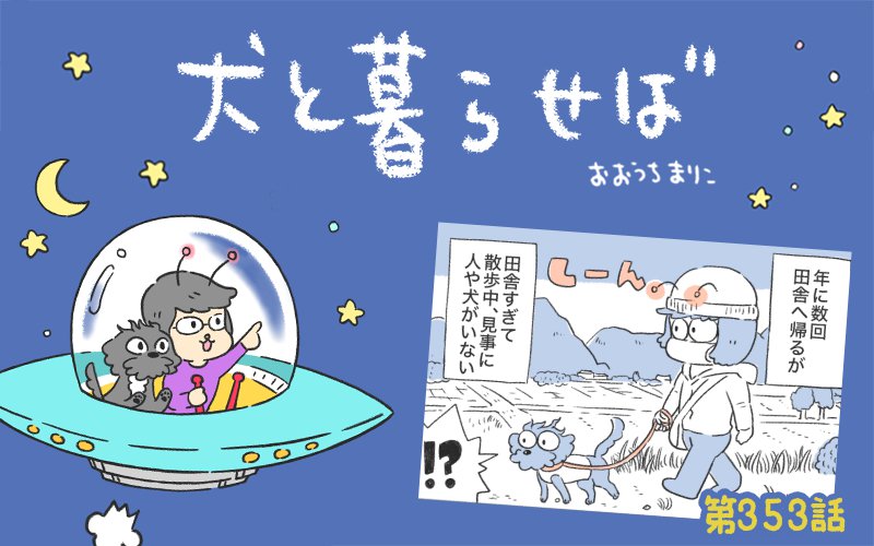 犬と暮らせば【第353話】「漂流する犬」