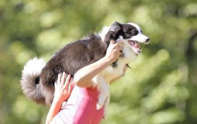 大きなトラウマを植え付けられた子犬。ペットからパートナーになるまで