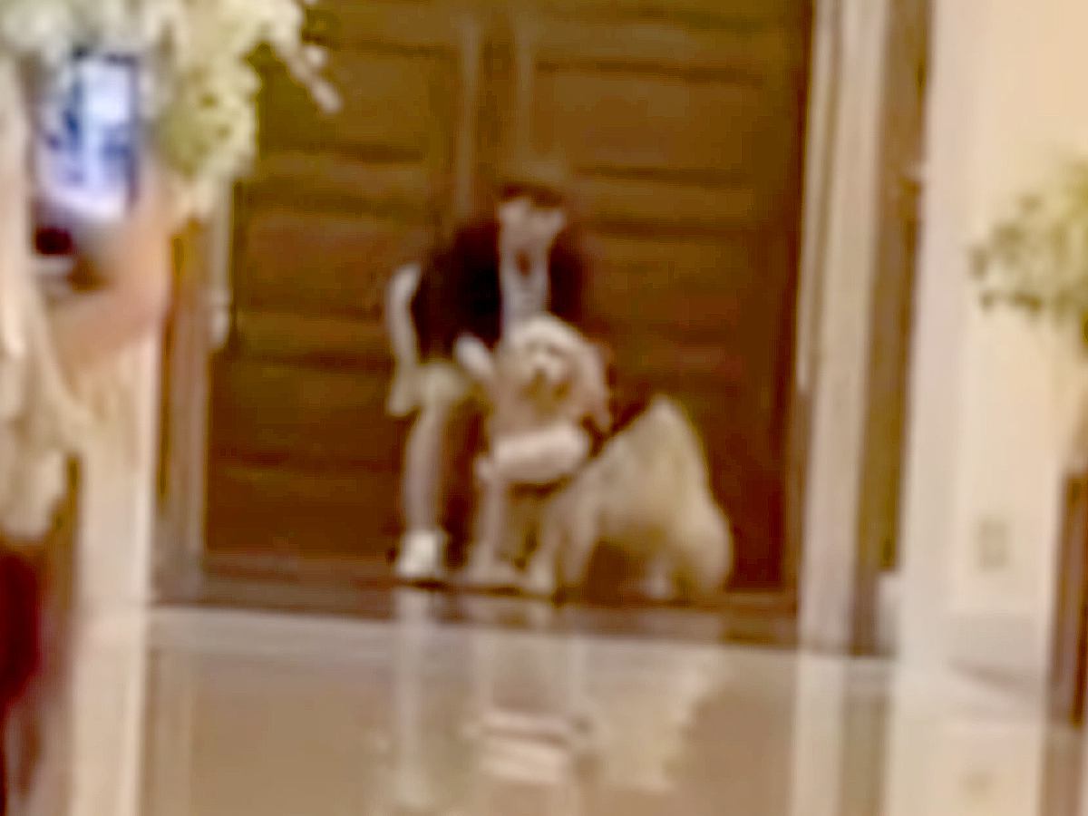 結婚式で大型犬が『リングドッグ』に挑戦→どうなるのか期待していたら…『まさかの結末』が8万再生「可愛すぎて」「最高ｗ」「素敵な思い出」