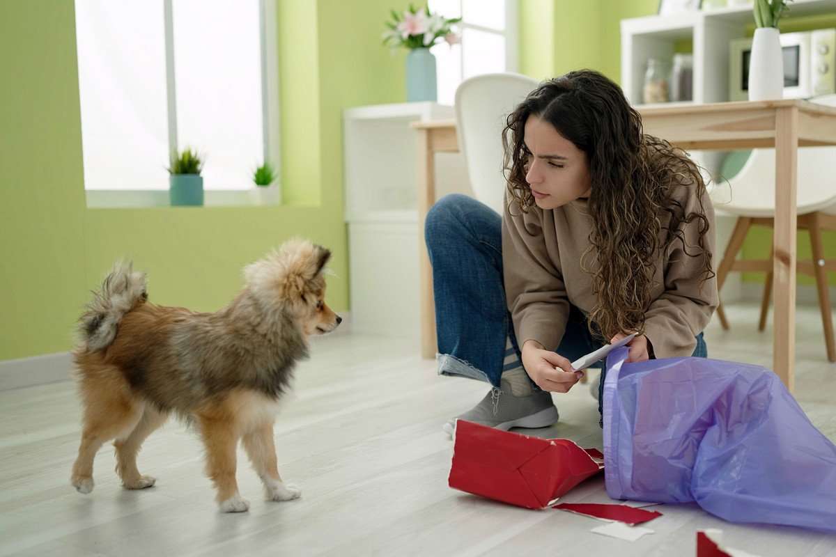 愛犬にイライラしやすい瞬間とは？主な原因や気持ちを切り替えるために飼い主がすべきこと