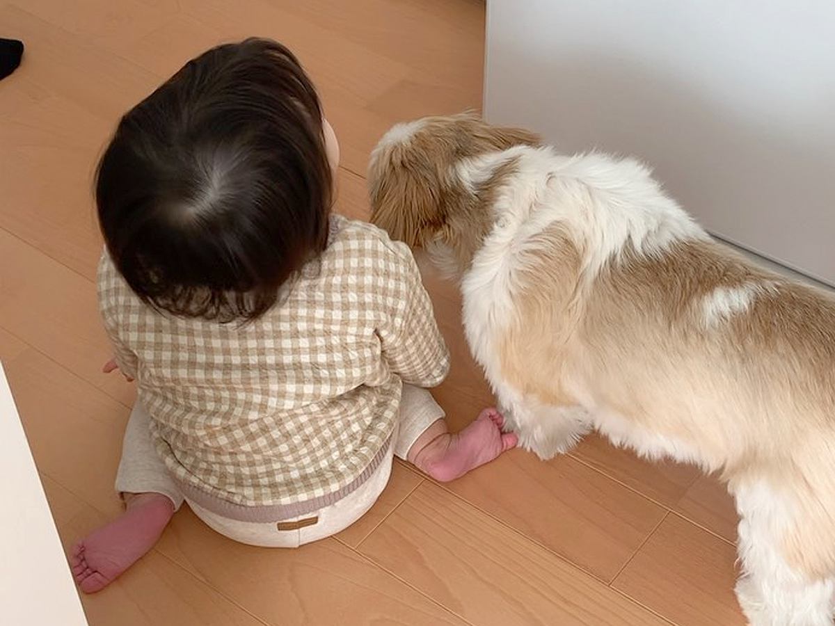 キッチンで並んでいる犬と赤ちゃん→後ろ姿を撮影していたら、次の瞬間…まるで『双子のような行動』に反響「シンクロしてる」「あうんの呼吸」