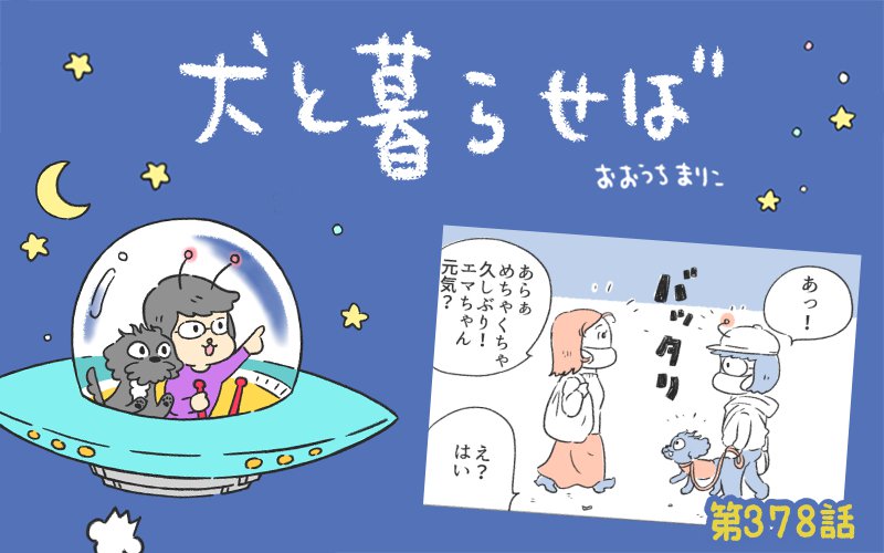 犬と暮らせば【第378話】「数年ぶりにエマを見た人」