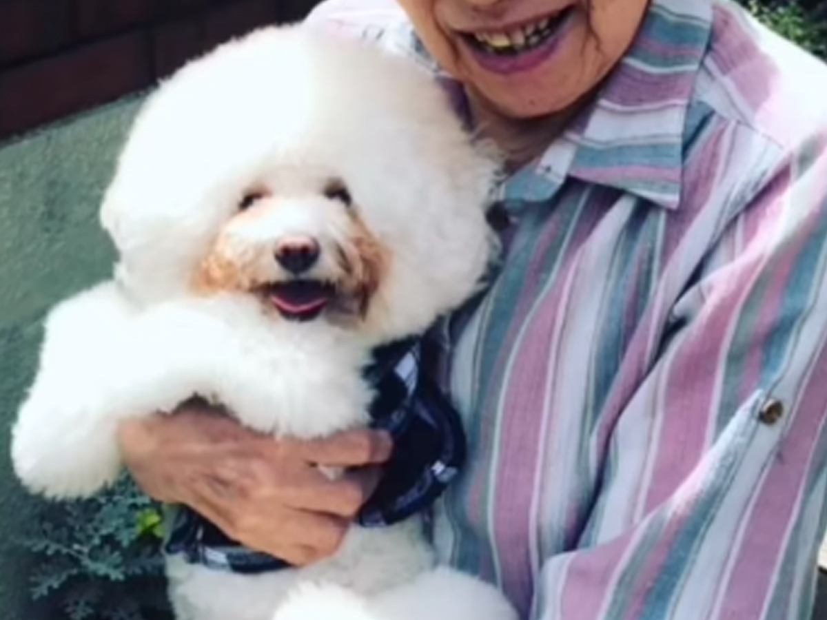 ひいおばあちゃんが亡くなる前『最後に撮った犬との写真』が表彰→涙溢れる『愛に溢れた作品』がSNSで話題「本当に素敵な話」と80万再生