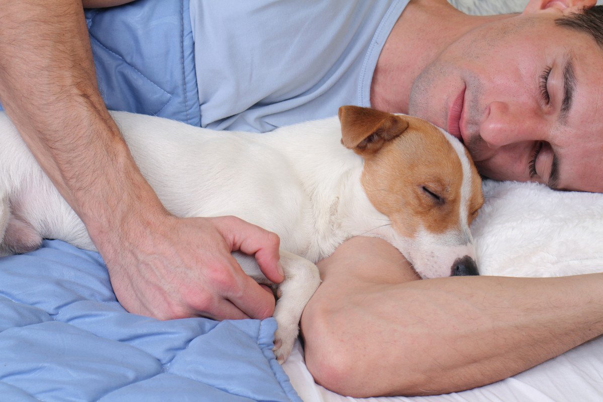 愛犬が一緒に寝てくれないときの理由7つ　考えられる心理から配慮してあげるべきことまで