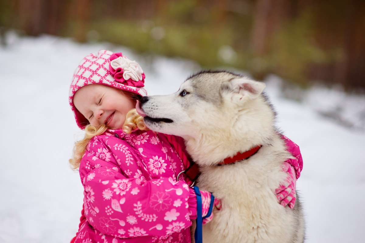 愛犬が他人の顔を舐めてしまう理由とは　すぐに試せる適切な対策法から注意点までご紹介