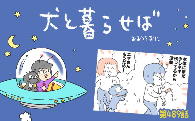 犬と暮らせば【第489話】「消えたネギ④」