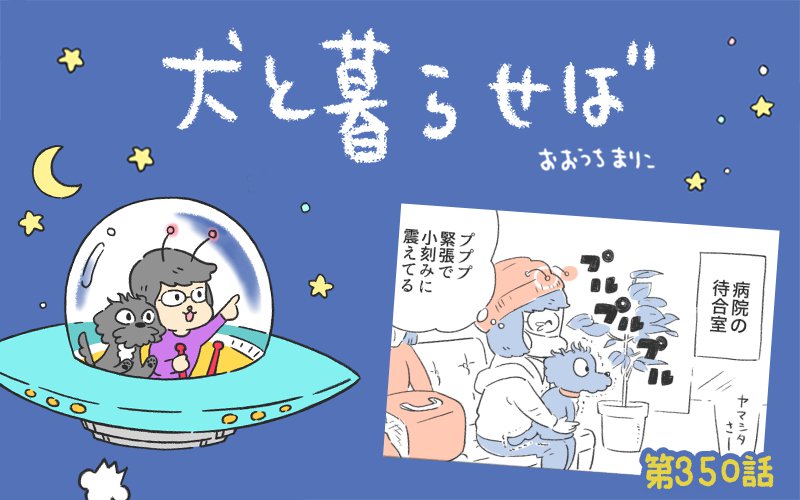 犬と暮らせば【第350話】「秋の健康診断」