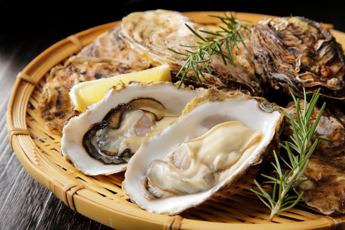 【獣医師監修】犬は牡蠣を食べても大丈夫？生はNG！安全な加熱方法と適量を徹底解説