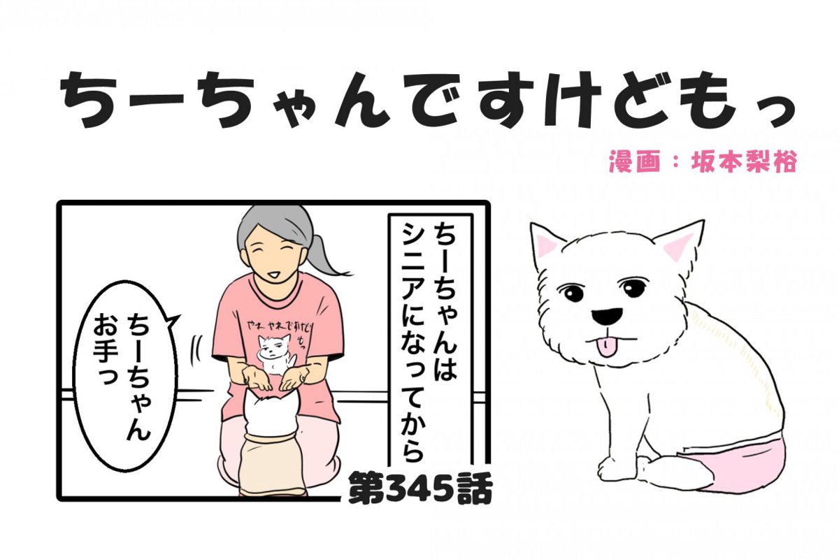 ちーちゃんですけどもっ【第345話】「できないんでなくてやりたくないだけ」