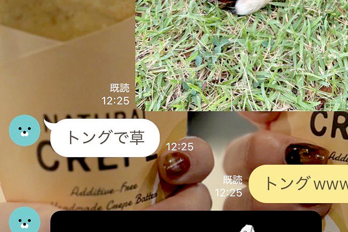 友達にLINEで『犬の写真』を送った結果→『トングで草』と返信がきて…あまりにも的確な一枚に絶賛「まさにｗ」「おてての曲がり具合が…ｗ」