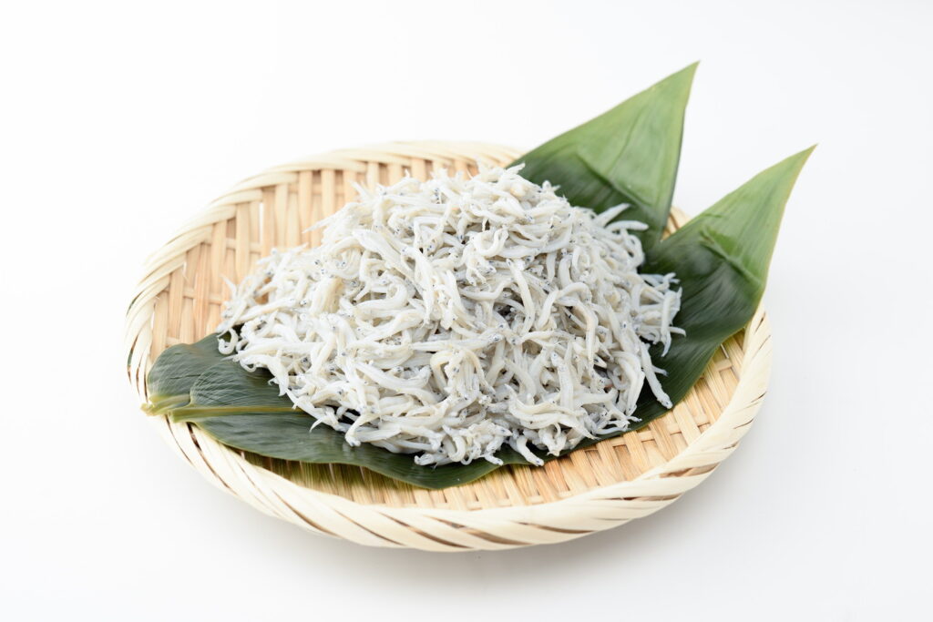 【獣医師監修】犬はしらすを食べても大丈夫？塩分に注意した与え方と適量の目安を解説