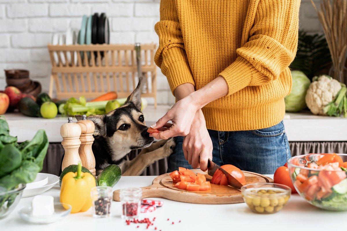 犬に野菜を食べさせるときの『絶対NG行為』5選　体調不良を引き起こす危険な与え方とは