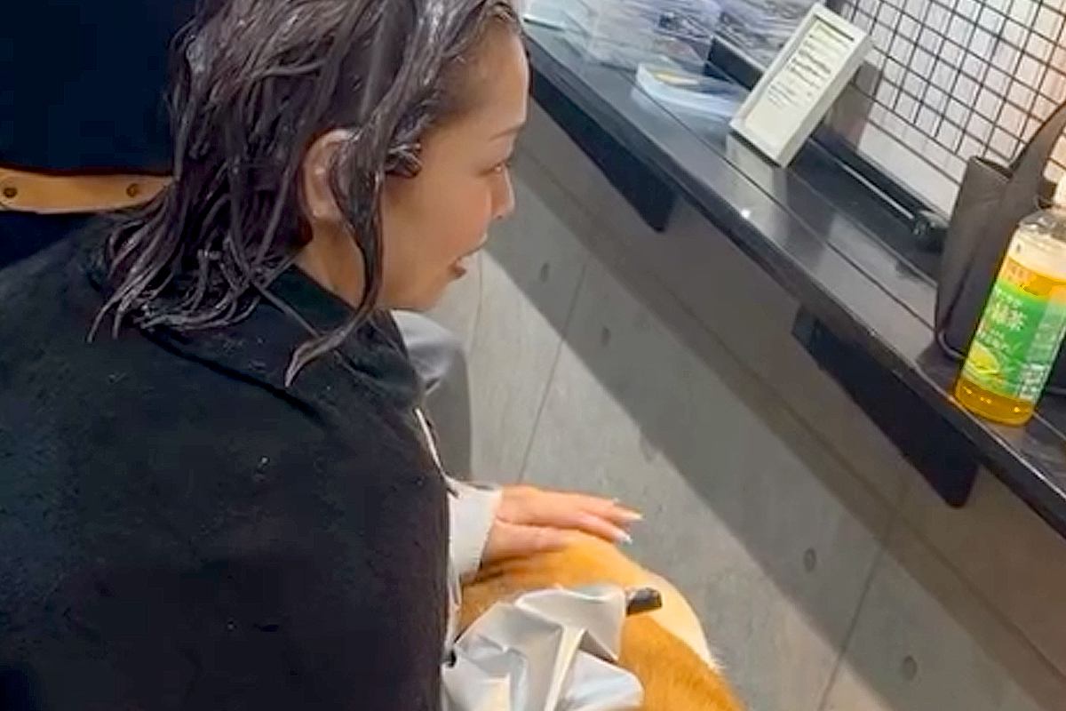 美容室で『看板犬』を務める柴犬→お客さんが髪を切っている最中に…羨ましすぎる光景に1万いいね「最高の接客だ」「もはや天国」「癒しサロン」