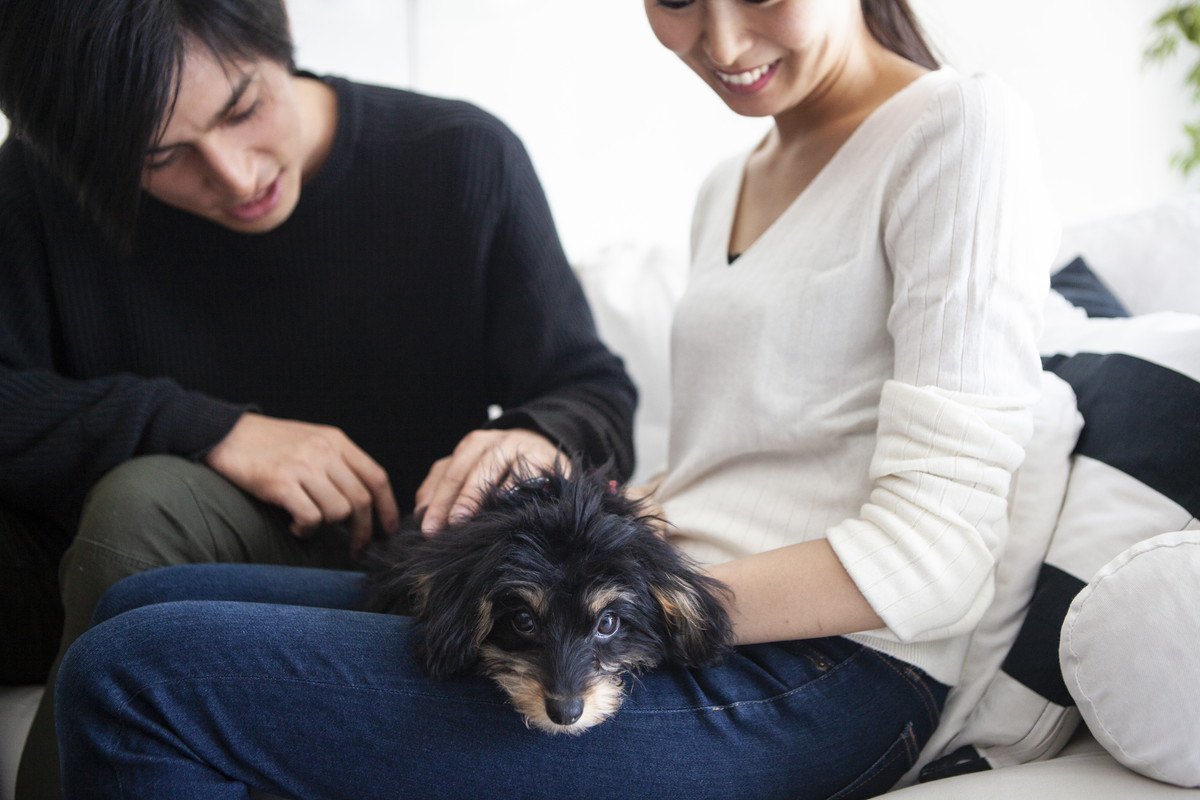 飼い主が『気付きにくい』犬の病気6選！どんな原因や症状があるの？