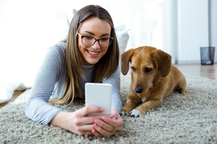 犬がやきもちを妬く飼い主の意外な行動４選！嫉妬のケア方法もご紹介