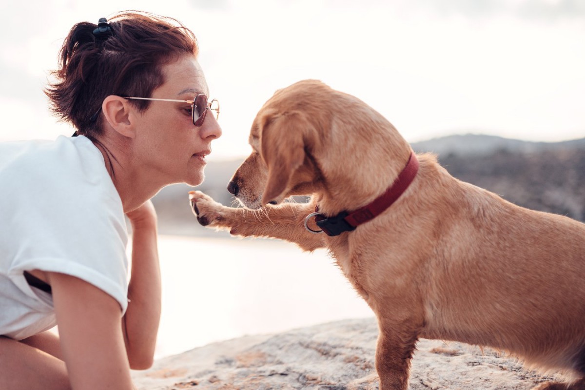 可愛すぎる…♡犬が「撫でるのやめないで」と言っている時のサイン3つ