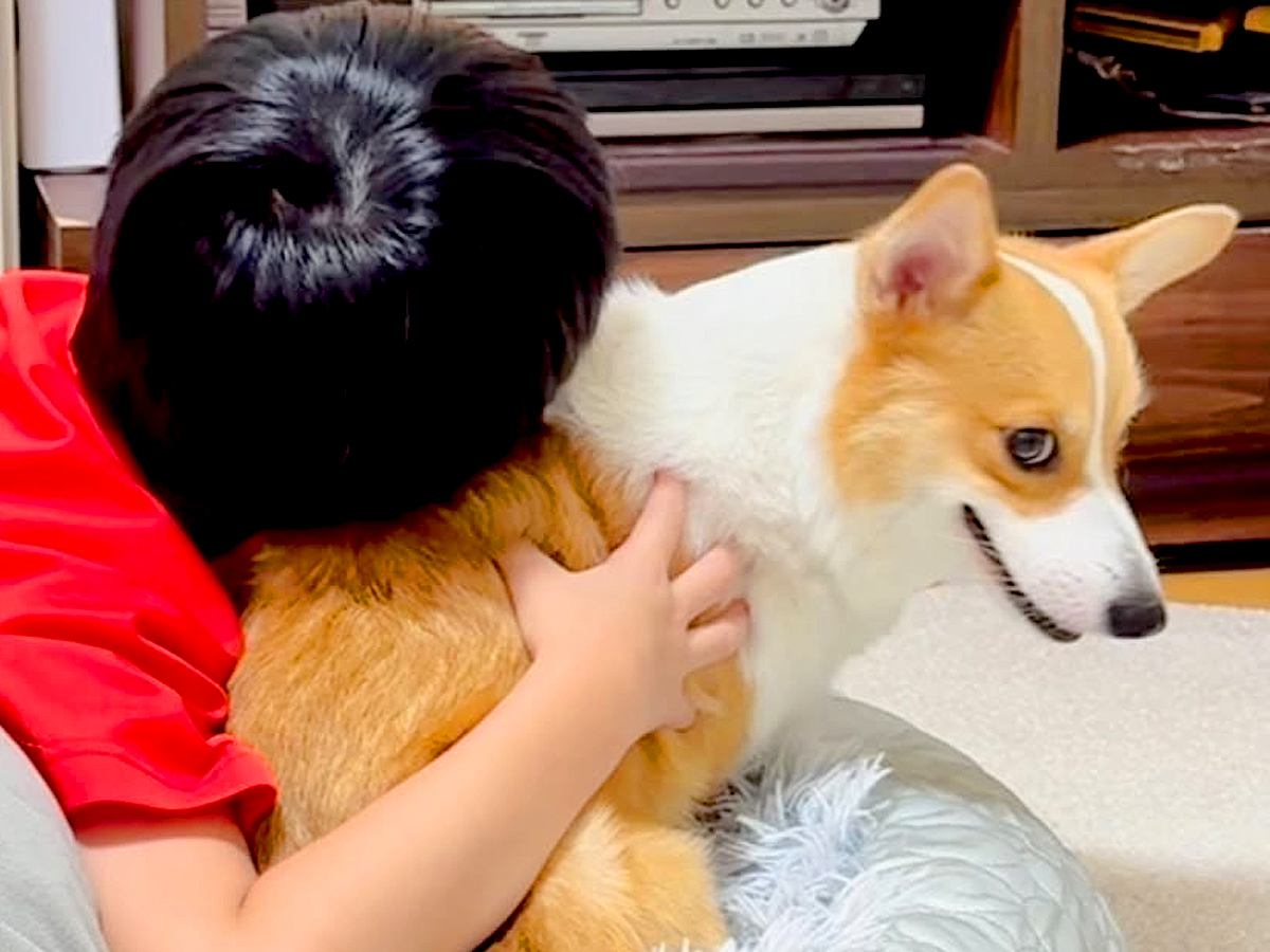 男の子に『くさい』と言われた犬→お風呂後、乾燥させていたら…想像の上をいく『コントのような光景』が34万再生「可愛すぎｗ」「笑った」