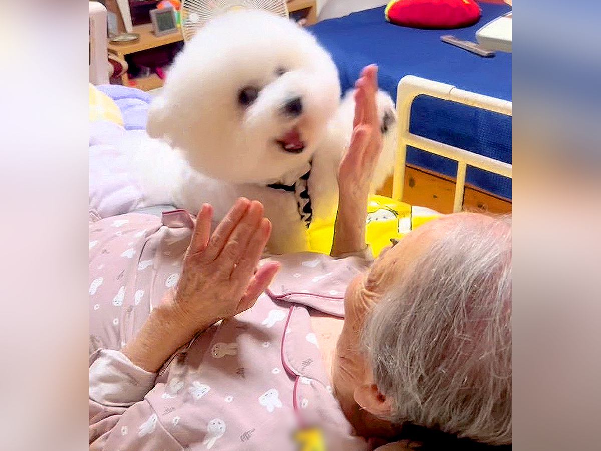 100歳のおばあちゃんが『犬と遊んだ』結果…想像以上に『激しいリハビリ』が3万再生「0歳と100歳のコラボｗ」「癒されるコンビ」と絶賛