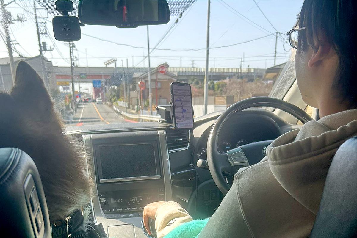 『手の置き場所よｗ』ドライブ中の夫と大型犬を、後部座席から撮影したら…思わずニヤける『後ろ姿』に3万いいね「付き合いたてのカップルで草」