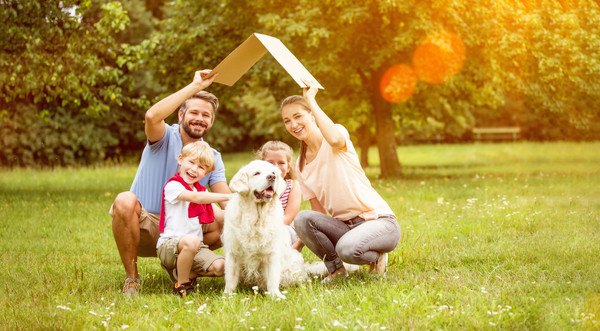 犬と暮らす家のアイディアと工夫を紹介！選び方のポイントは？