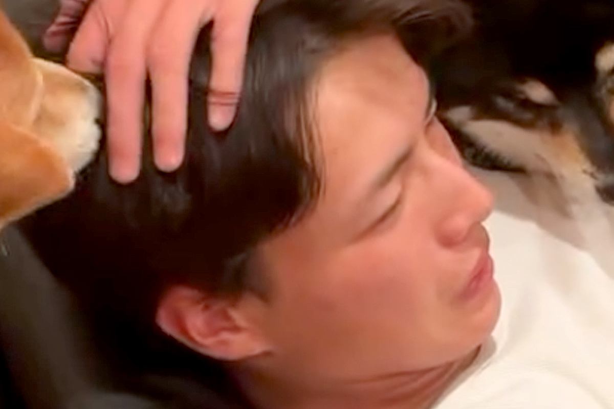8ヶ月ぶりに帰省した息子→再会した犬たちが喜び過ぎて…まさかの争奪戦と『尊すぎる光景』が16万再生「ベッタリで草」「ヤキモチ可愛すぎｗ」