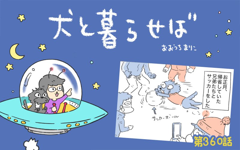 犬と暮らせば【第360話】「ジャリジャリ」