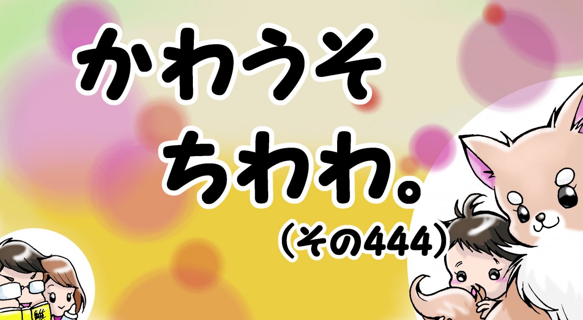 かわうそちわわ。【その444】「事実を認めたくない4歳」