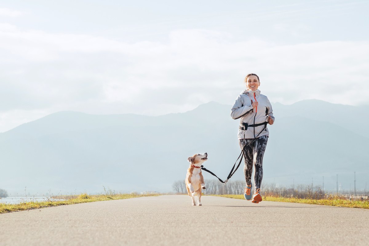 『たくさん散歩が必要』な犬種5選！時間の目安や足りない時のサインを解説