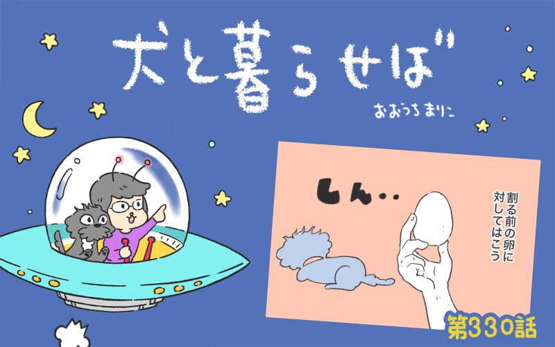 犬と暮らせば【第330話】「エマさんとたまご」