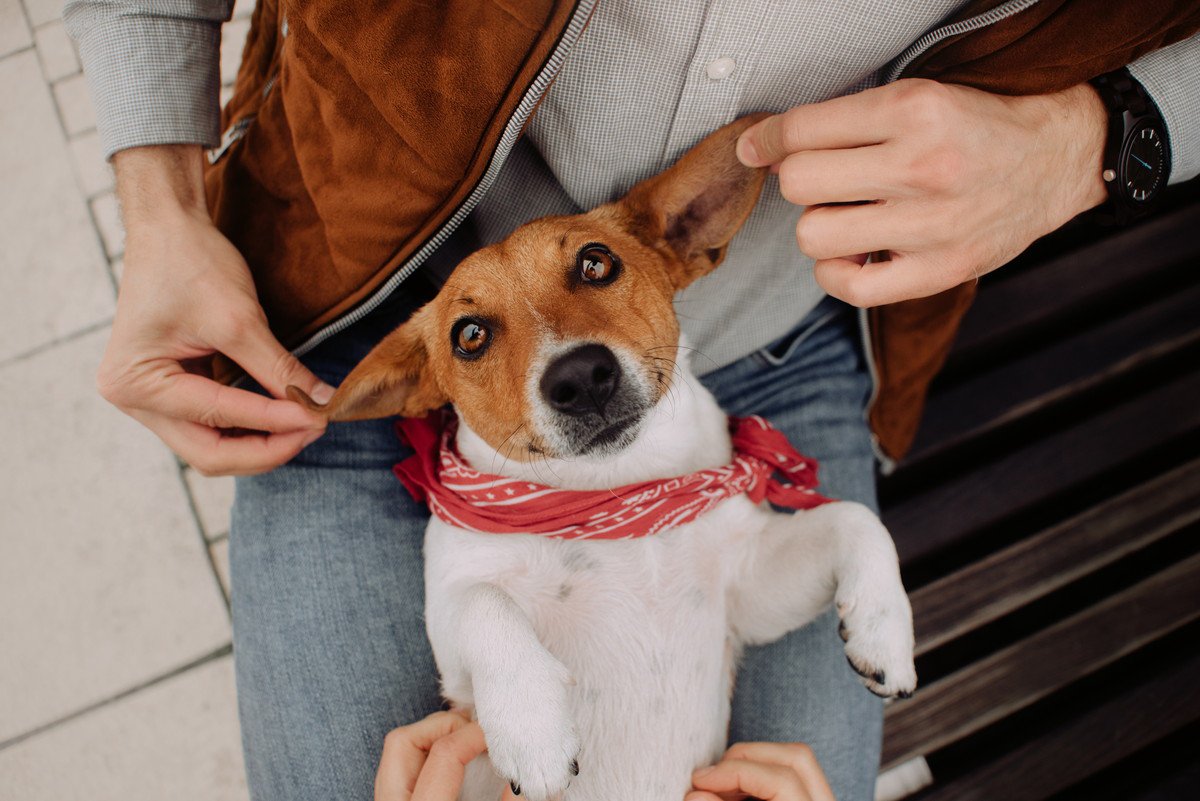 犬の可愛い仕草に隠れている『危険な病気』4つ！見極めるための方法やコツは？