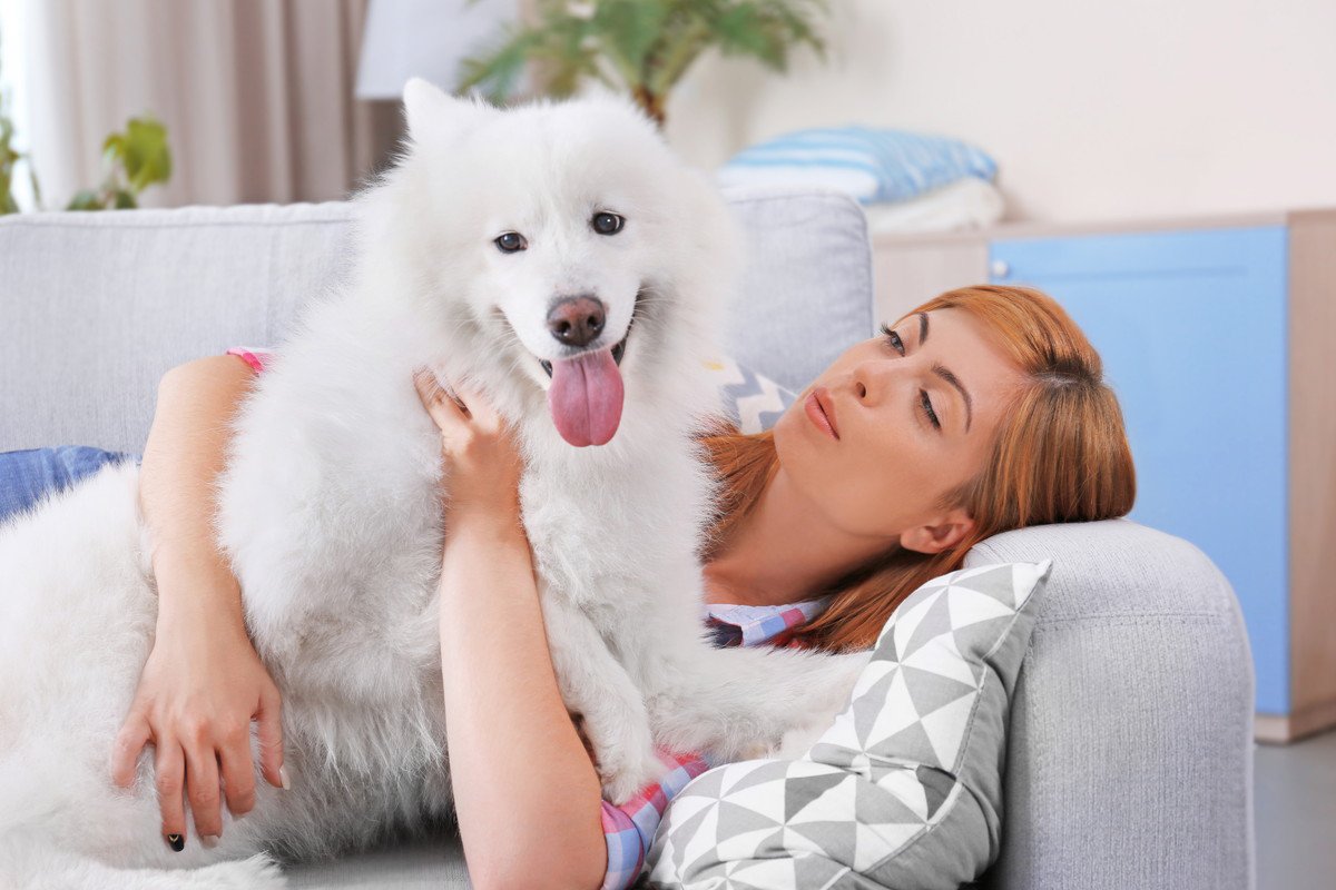 大型犬と暮らしたい！お迎えしやすい犬種や、飼うときのポイントは？飼えなくてもふれ合える方法も