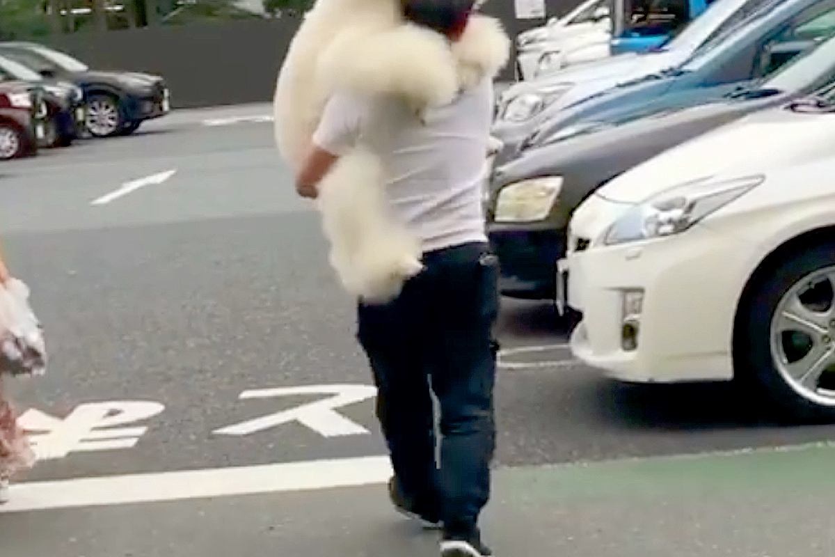 シャンプーをした大型犬→移動させるため『抱っこ』をすると…思わず二度見する『子どものような光景』に反響「理想」「抱きつくの可愛すぎる」
