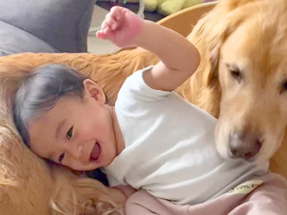 小さな男の子が大型犬のお腹にコテン→大型犬も“あご乗せ”してみた結果…まさかの『予想外すぎる反応』に「微笑ましすぎる」「ドンマイ」