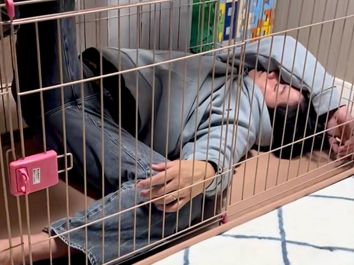 酔っ払ってベロベロのパパ→犬のケージから出れなくなり…思わず吹き出してしまう光景が243万再生「立場逆で草」「犬に叱られてるｗｗ」