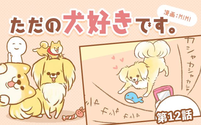 ただの犬好きです。【第12話】「撮りすぎ注意」