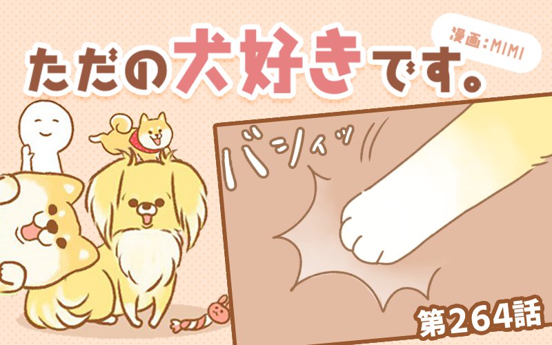 ただの犬好きです。【第264話】「机を叩く理由」