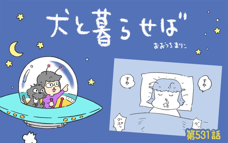 犬と暮らせば【第531話】「真夜中のプリズム」