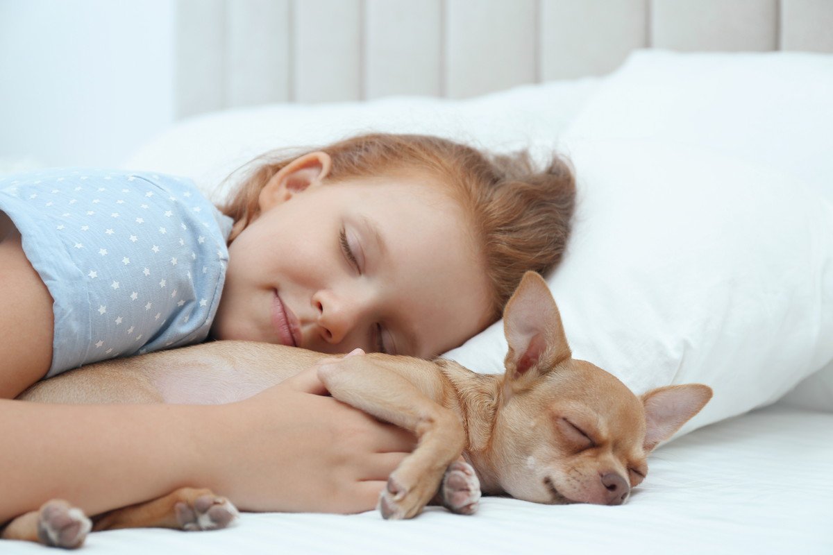 愛犬の寝る場所で心理がわかる！4つの場所によって異なる飼い主への気持ちとは？