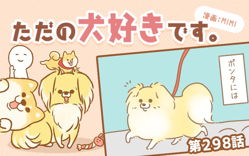 ただの犬好きです。【第298話】「くん活とは」