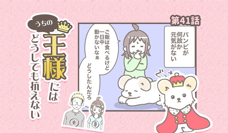 うちの王様にはどうしても抗えない【第41話】「元気が一番」