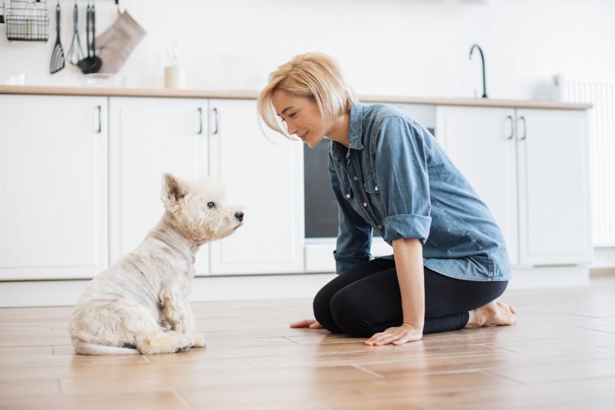 犬への間違った『ダメ』の使い方4選　叱られていることが伝わらないNG行為まで解説