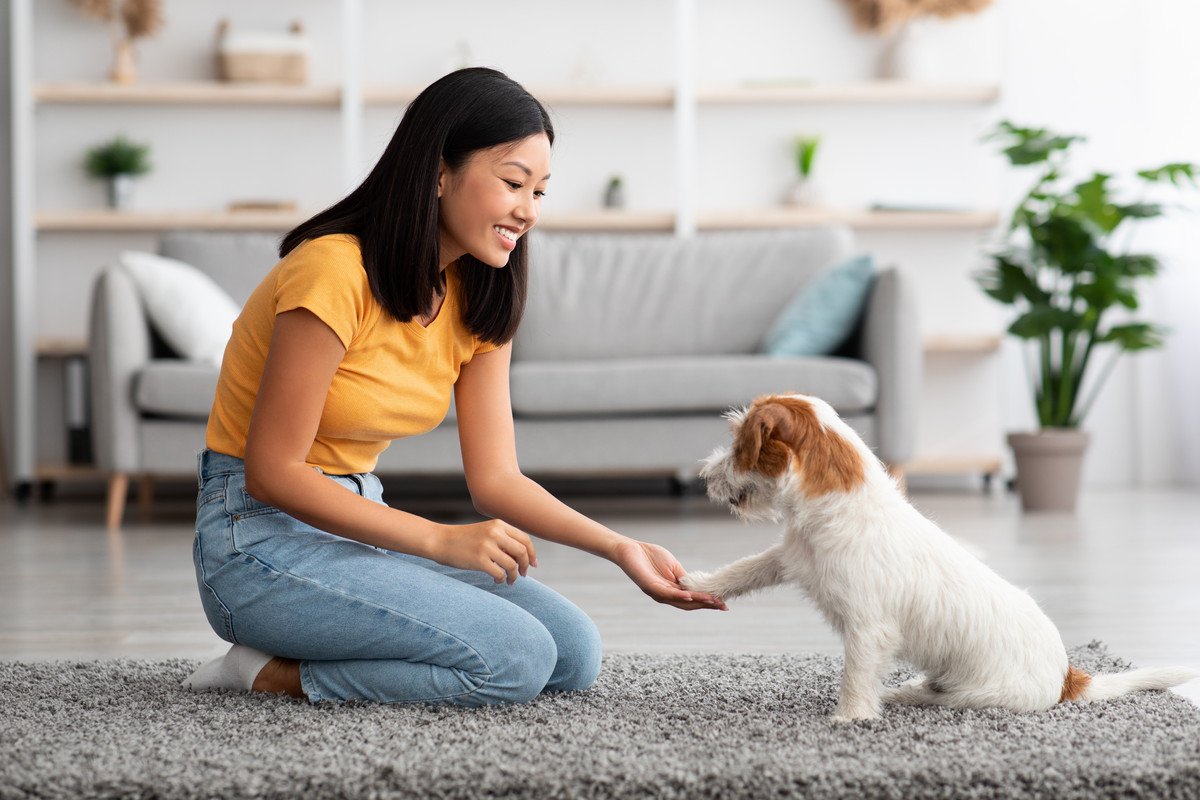 犬のしつけに近道なし！"早さ"よりも"正しい繰り返し"を行うことが鍵【ドッグトレーナーが解説】