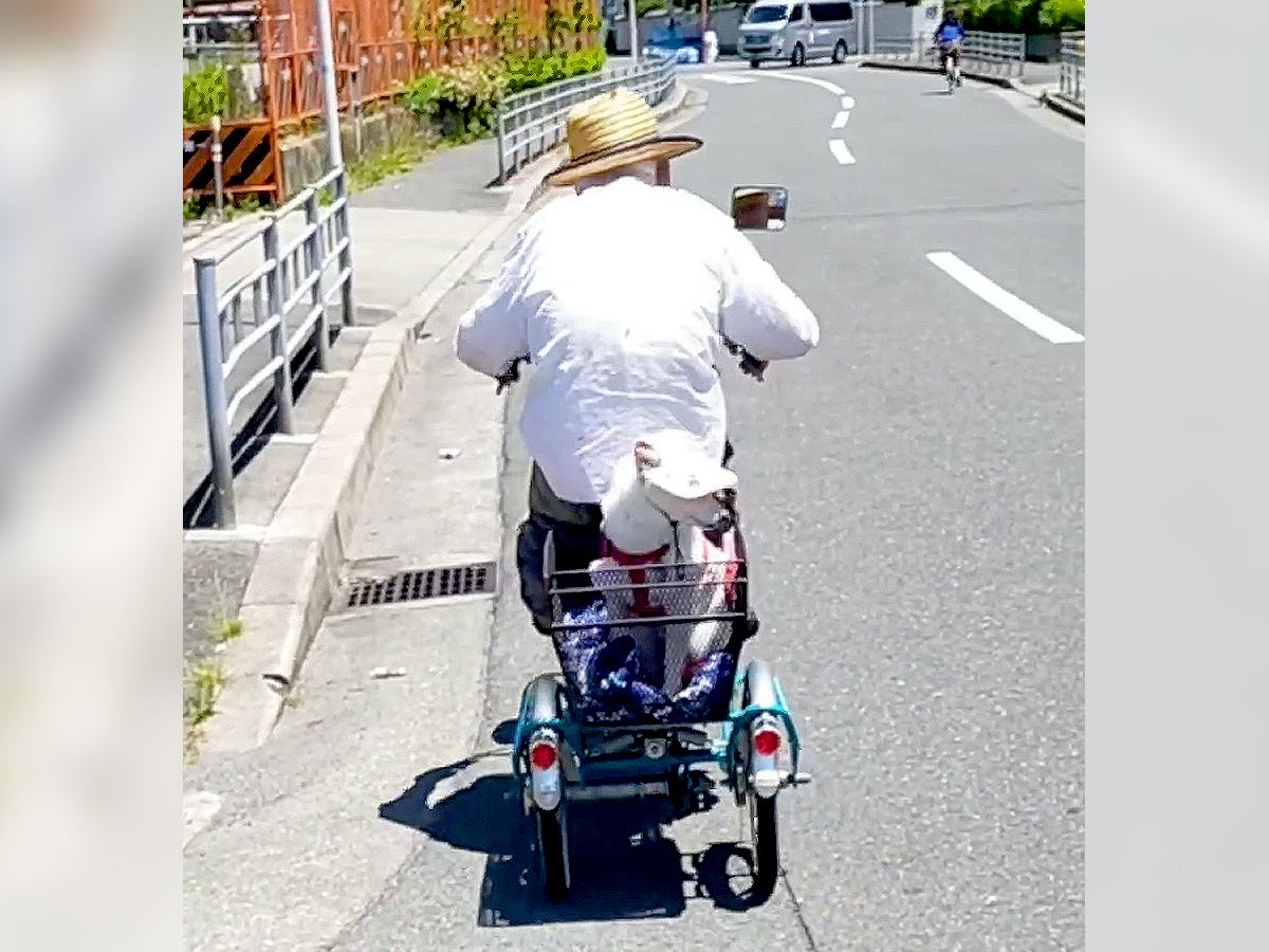 97歳のおじいちゃんと9歳の犬…歳の差カップルによる『自転車の2人乗り』が尊すぎると80万再生「可愛いふたり」「なぜか涙でる」と絶賛