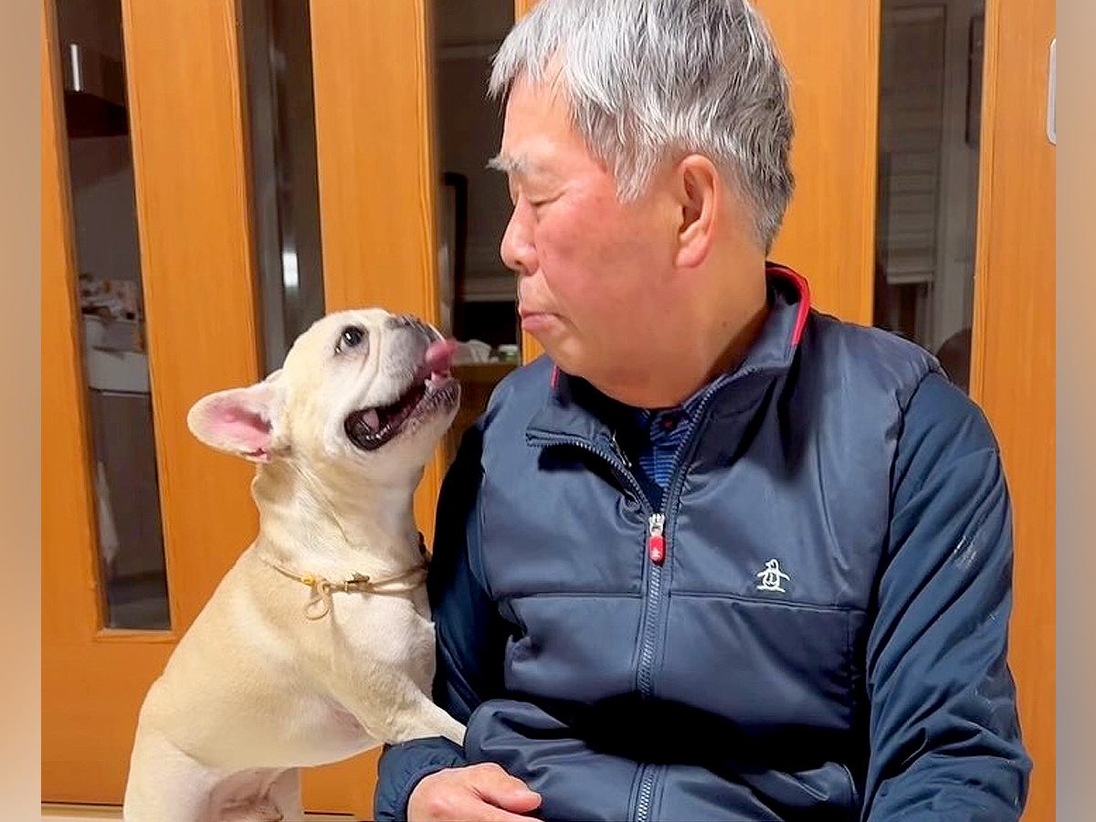犬を連れて実家に帰省→おじいちゃんを愛しすぎていて…想像以上の『好き好き攻撃』が16万再生「熱烈アピール可愛いｗ」「羨ましい」と絶賛